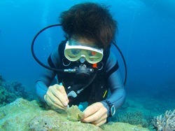 0061 サンゴ移殖２.jpg